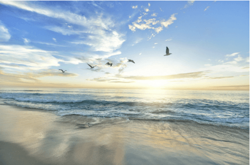 Seagulls flying over a beach as the sun sets over the sea