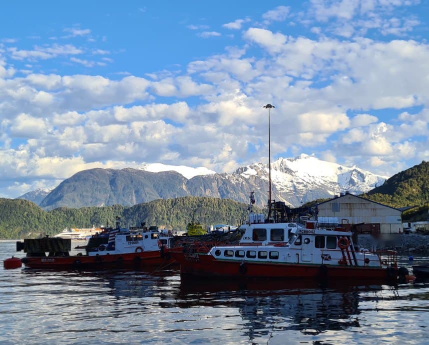 Red and white tugboats in a harbour below snow-capped mountains